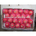 Apple Fruit